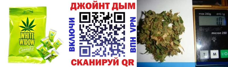 Canna-Cookies марихуана  Купить  Отрадная 