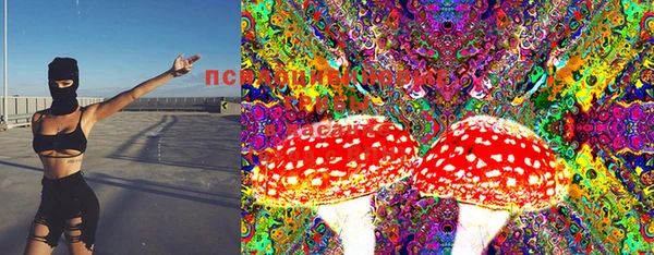ECSTASY Приозерск